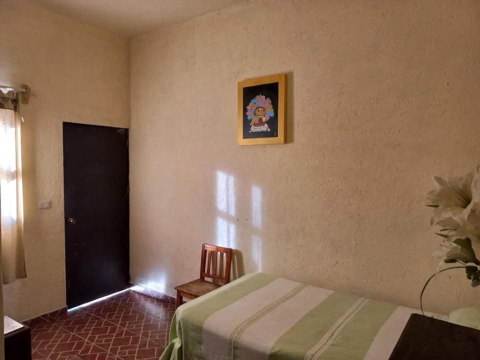 산미겔데아옌데 Casa Loteria B&B 외부 사진