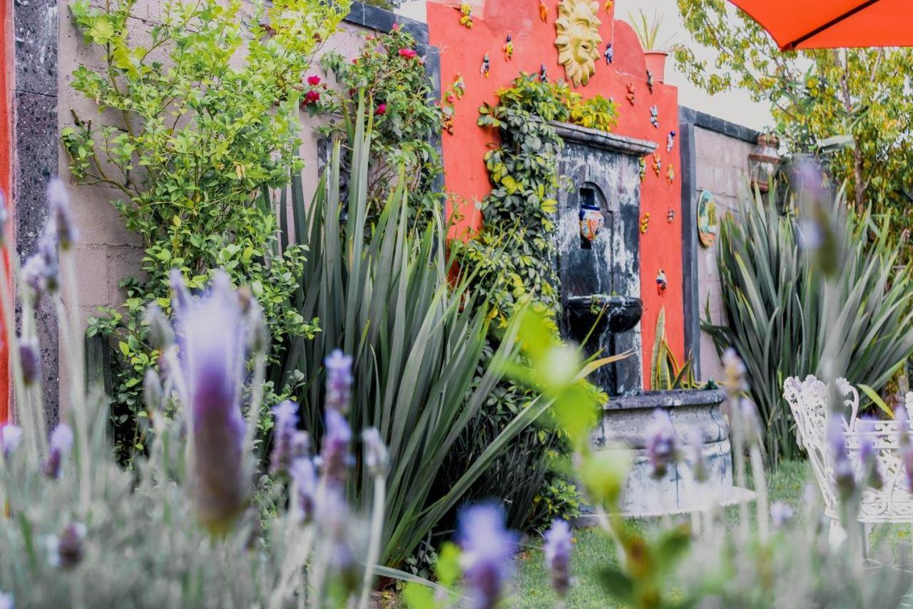 산미겔데아옌데 Casa Loteria B&B 외부 사진